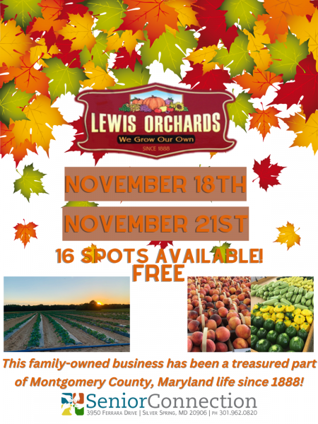 Lewis-orchard-1200x1600